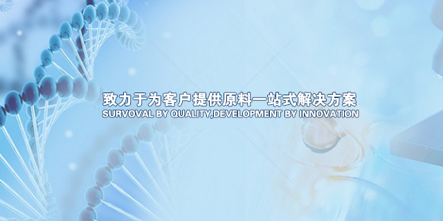 手機(jī)網(wǎng)站大圖